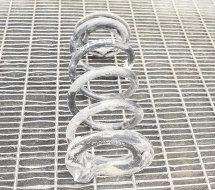 Tesla Model 3 Rear coil spring 104447201E