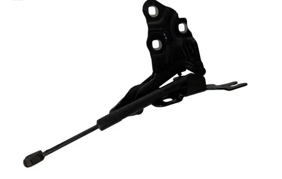 BMW X3 F25 Engine bonnet/hood hinges 7210730