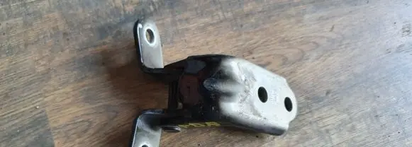 KIA Optima Front door lower hinge 
