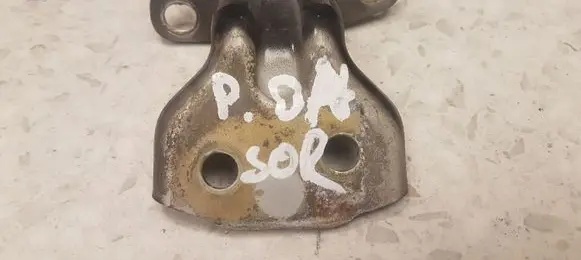 KIA Sorento Front door lower hinge 