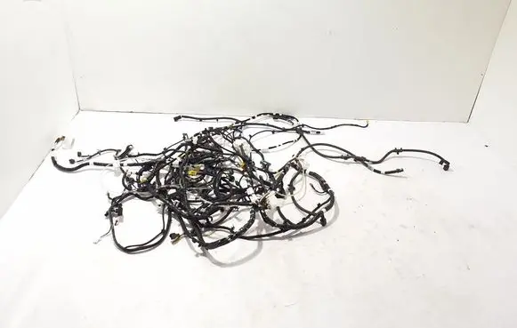 Other wiring loom