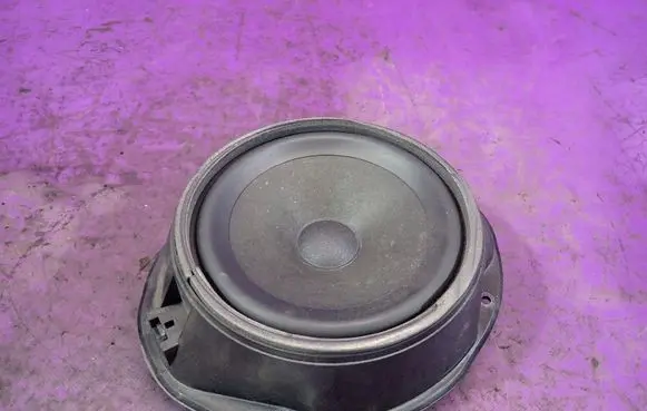 Ford Focus C-MAX Front door speaker 