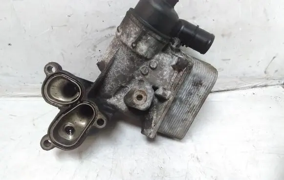 Renault Espace - Grand espace IV Oil filter mounting bracket