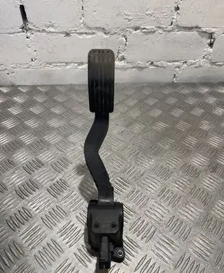 Peugeot 307 Accelerator throttle pedal 0280755041
