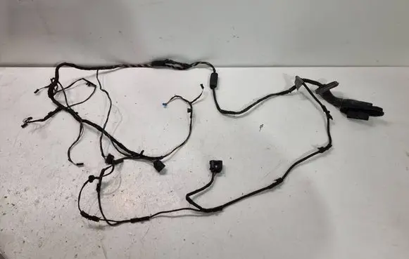 BMW 7 F01 F02 F03 F04 Rear door wiring loom 9197640 26112008 EER19X