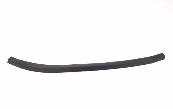 Mercedes-Benz SLK R171 Front door rubber seal A1716970351