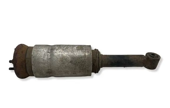 Land Rover Discovery 4 - LR4 Front shock absorber/damper 22250005