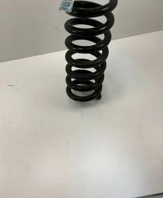 Rear coil spring