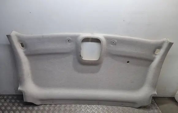 Opel Vivaro Headlining 739012577R 20580846 93868983