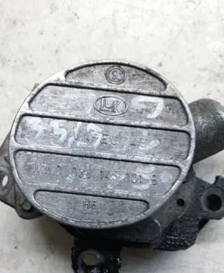 Volkswagen Golf IV Vacuum pump 038145101B