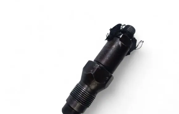 Peugeot 206 Fuel injector LCR6736001