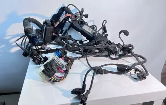 BMW X5 E70 Engine installation wiring loom 779966204 7802264 12517802264