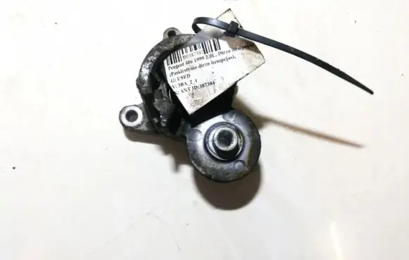 Peugeot 406 Generator/alternator belt tensioner