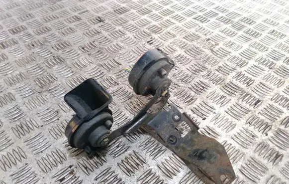 Peugeot 407 Horn signal 3881157