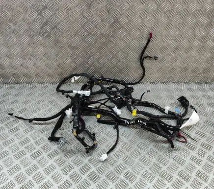 Tesla Model 3 Other wiring loom 421769002A