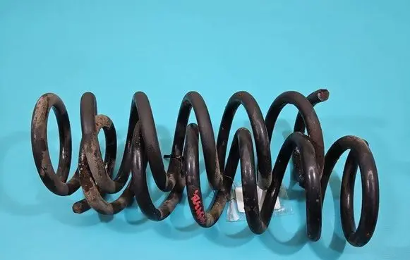 Rear coil spring