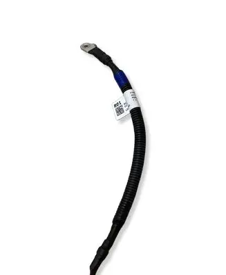 Hyundai Ioniq 5 Other wiring loom 91661GI000