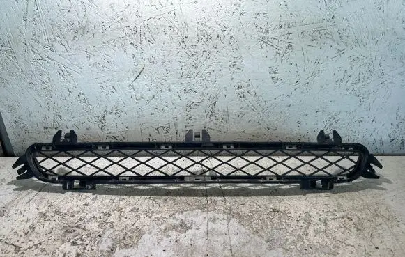 BMW X3 F25 Front bumper lower grill 7210466 10503411