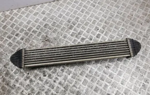 Mercedes-Benz A W169 Intercooler radiator A1695000000
