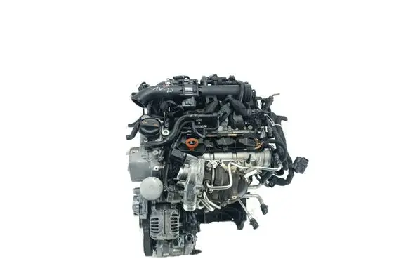 Volkswagen Golf VI Engine CAV