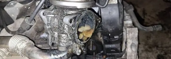 Volkswagen Golf Plus EGR valve