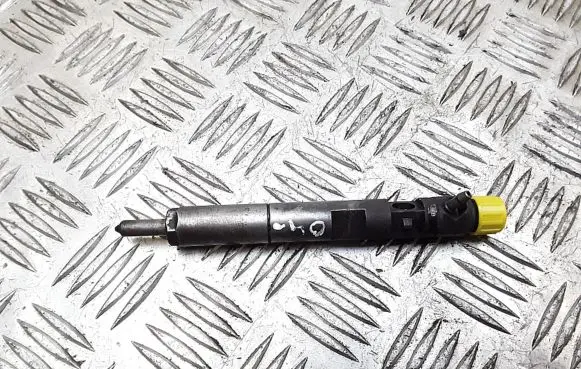 Renault Megane II Fuel injector