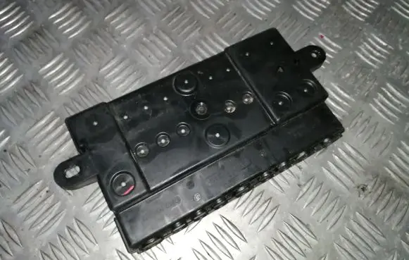 Land Rover Range Rover Sport L494 Positive wiring loom 19249000001