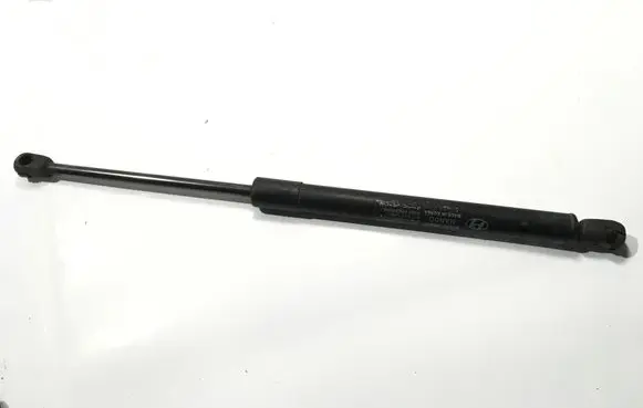 Tailgate/trunk strut/damper