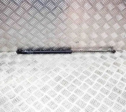Tailgate/trunk strut/damper