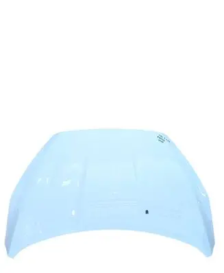 Ford Focus Engine bonnet/hood F1EBA16610AA