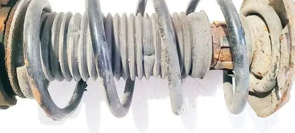 Front coil spring