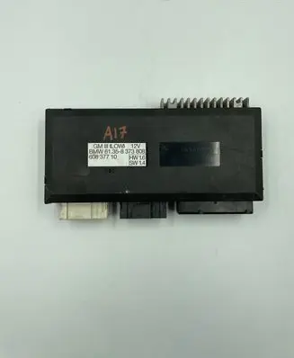 BMW 5 E39 Engine control unit/module 8373808 61358373808 60837710