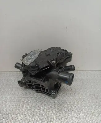 Thermostat/thermostat housing