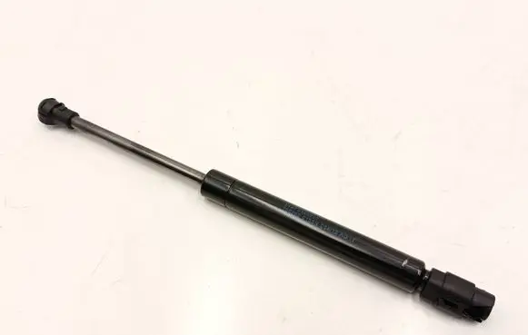 BMW 5 F10 F11 Tailgate strut 9168507