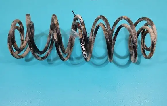 Rear coil spring