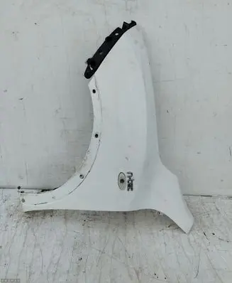 Nissan Juke I F15 Fender