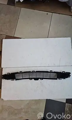 Front bumper lower grill