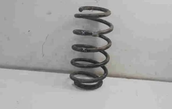BMW X5 E53 Front coil spring 6750338