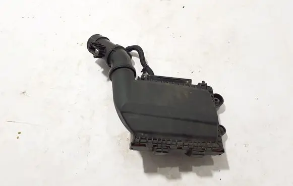 Renault Espace VI Air filter box 165003299R