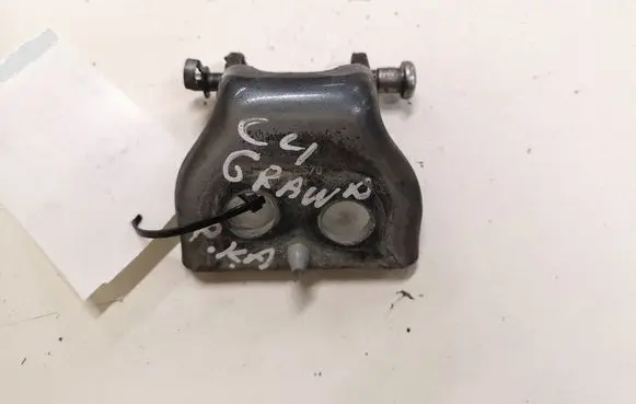 Citroen C4 Grand Picasso Front door lower hinge