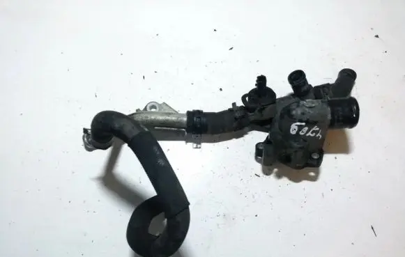 Nissan Qashqai Engine coolant pipe/hose 8200801570