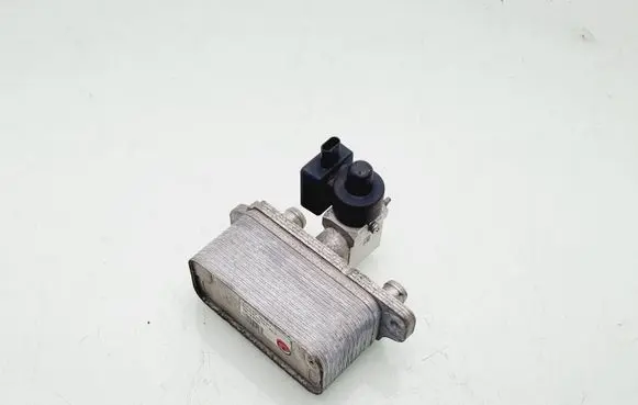 Tesla Model S Air conditioning (A/C) air dryer 103735700E