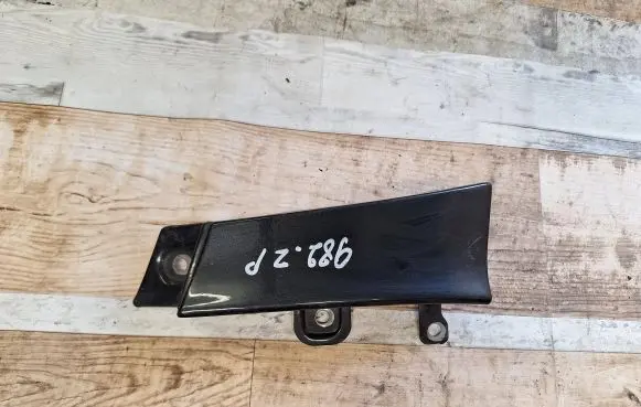 Rear/tail light trim molding