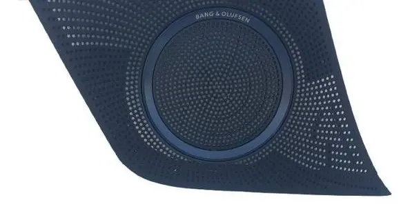 Audi Q5 SQ5 Side speaker trim/cover 8R0857228A