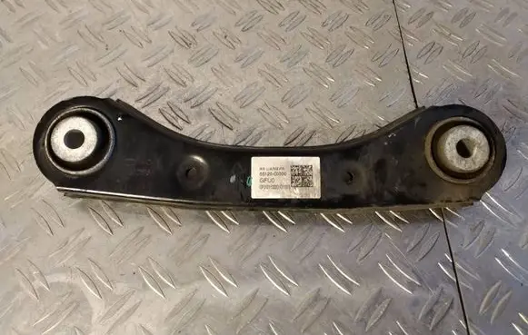 KIA EV6 Rear upper control arm/wishbone 55120G1000