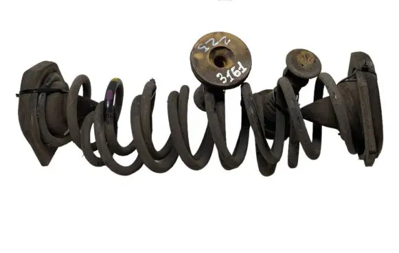Renault Megane IV Rear coil spring 550202793R