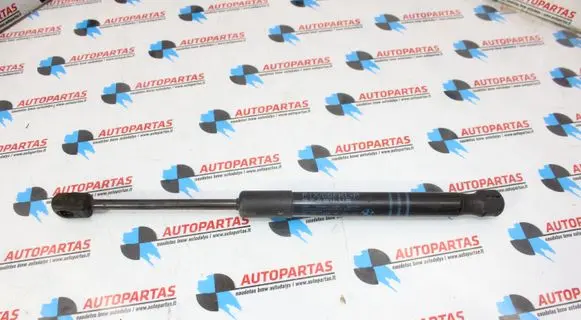 BMW 6 F06 Gran coupe Front bonnet/hood damper/strut 7309119