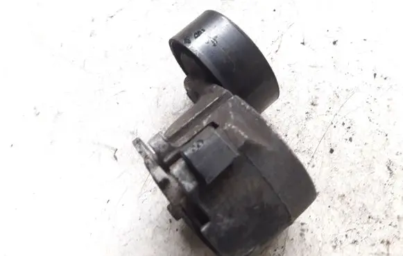 Fiat Doblo Generator/alternator belt tensioner 46819146