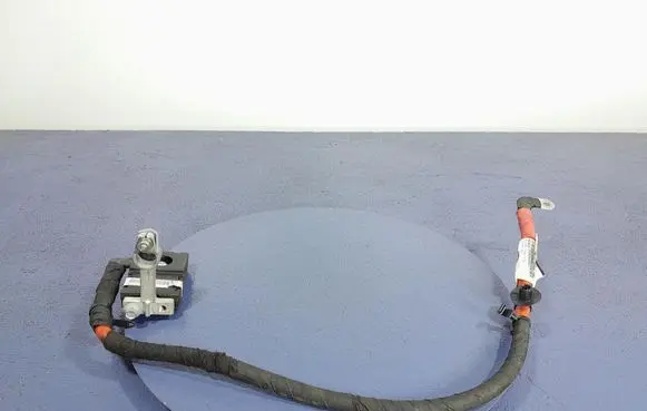 Land Rover Range Rover Sport L320 Other wiring loom CK52-14N144-CF