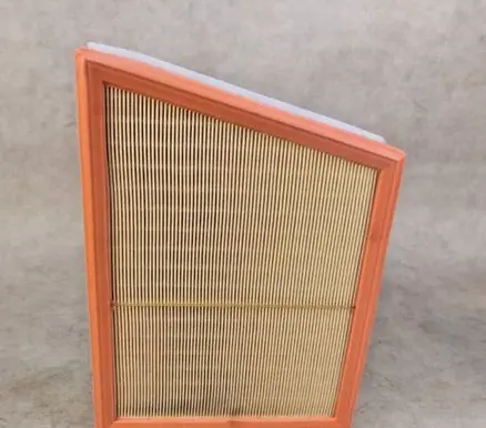 BMW 2 F45 Air filter C22018